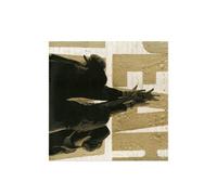 Pearl Jam Ten Special Edition