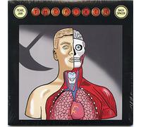 Pearl Jam - The Fixer [Import]
