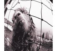 Pearl Jam - Vs. -Expanded-