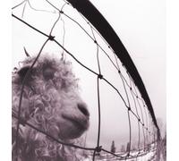 Pearl Jam - Vs. [Remastered] (Vinyl/LP) by Pearl Jam [VINYL] NEUF