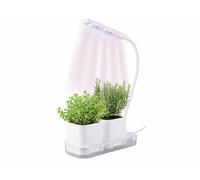 Pearl Mini potager avec lampe de croissance et réservoir d'eau