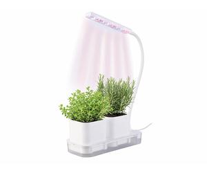Pearl Mini potager avec lampe de croissance et réservoir d'eau