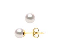 PEARLS & COLORS - Boucles d'Oreilles Perles de Culture AKOYA Rondes - Origine Japon Certifiée - Qualité AA+ - Or Jaune 750 Millièmes (18 Carats) - Poussettes LUXE - Bijou Femme