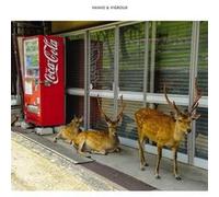 Peau Froide, Léger Soleil