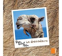 Peau, Poils et Pattes - le Dromadaire