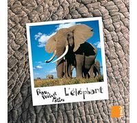 Peau, poils et pattes - L'éléphant