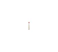 Pebeo Artist - Lot de pinceaux - 4 parties - rond, plat - taille : 0, 3, 6