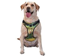 Pêche au Bar imprimée,Harnais pour Animaux de Compagnie, Harnais réfléchissant réglable pour Chien,M