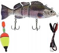 Pêche Électrique Aux Appâts Vivants Brochet 02