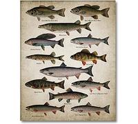PêChe Murale Art Toile tableau Affiches Races De Poissons Peinture Poisson D'Eau Douce Murale Tableaux Decoration Murale Affiche Pour La Decoration De La Chambre Sans Cadre 30×40cm