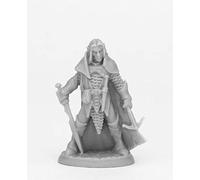 Pechetruite 1 x Dark ELF Male Warrior - Reaper Bones Figurine pour Jeux de Roles Plateau - 44072