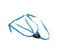 Pectoral et martingale en biothane avec boucles plaquées laiton Lakota