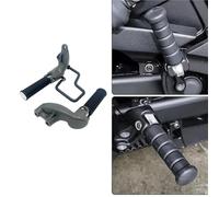 Pédale de repos Repose-pieds Arrière Pour Moto, Passager, De Rechange Pour Indian Scout ABS 2019-2020(Grey)