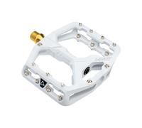 Leatt Ceramag All Mountain 8.0 Ti Flat 114x100 Mm Pedals Argenté