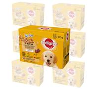 Pedigree Dogcare Chunks Lot de 84 sachets de Nourriture pour Chien en gelée Junior 84 x 100 g