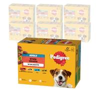 Pedigree DOGCARE Chunks Sachet de Nourriture pour Chien en gelée Adulte 84 x 100 g