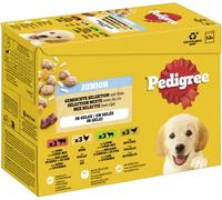 Pedigree DOGCARE Lot de 12 Paquets de 100 g de friandises humides (Mixtes) en gelée Junior 100 g