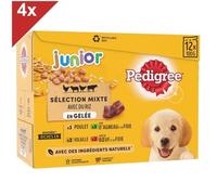 PEDIGREE - Junior - 48 Sachets fraîcheur en gelée - 4 variétés pour chiot - 100g (4x12)