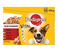 Pedigree Sachets Fraîcheur en Gelée pour Chien 12 x 100g