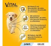 PEDIGREE® Sachets-portions Multipack Junior 4 variétés en gelée avec poulet, bœuf+foie, volaille, agneau+foie 12 x 100g