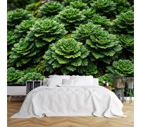 Peel And Stick Wall Mural, Green Fern Foliage Self Adhesive Removable Waterproof Vinyl Wallpaper 300X200Cm(Wxh) Large Nature Landscape Wall Art For Bedroom Living Room Decor Green Fern Foliage 300X20