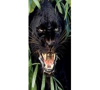 PeelitStickit VenDooMurAnima_27 ID-050 Sticker photo mural/pour porte Motif panthère noire