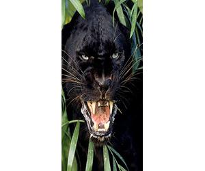 PeelitStickit VenDooMurAnima_27 ID-050 Sticker photo mural/pour porte Motif panthère noire