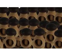PEEWIT Ensemble Casse-Noisette Ouvreur en Bois Fendeuse Amande Champignon Set 100 Pièces