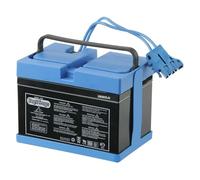 Peg Perego - Batterie 12 V 12 V, 12 Ah Non Compatible avec Les VÉHICULES ÉLECTRIQUES À Batteries AU Lithium