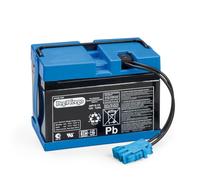 Peg Perego - Batterie 12 V 12 V, 12 Ah Non Compatible avec Les VÉHICULES ÉLECTRIQUES À Batteries AU Lithium