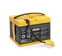 PEG Batterie 24V/12Ah - Pièce de Rechange Originale Rechargeable pour Véhicules Électriques Peg Perego