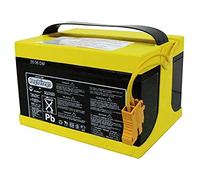 PEG Batterie 24V/8Ah - Pièce de Rechange Originale Rechargeable pour Véhicules Électriques Peg Perego