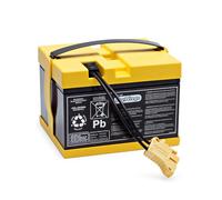 PEG Batterie 24V/8Ah - Pièce de Rechange Originale Rechargeable pour Véhicules Électriques Peg Perego