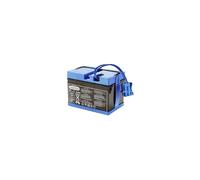 Batterie 12V-12Ah - PEG PEREGO - Accessoire pour véhicule enfant - Mixte