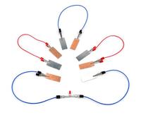 Pegciuho Expérience Industrielle Kit D Expérimentation Batterie de Fruit Électricité Réaction Redox Apprentissages Pensée Critique Pièces Zinc Cuivre Adapté, Batterie de Fruits (avec Grand Fil)