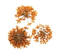 Peggy Sage Dried Flower Nail Decor Orange Bouquet