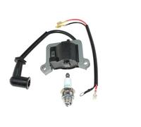PEGGYLIN Bobine d'allumage adaptée for oléo-Mac BCH40T BCH40BP BCH400T BCH400S BCH400BP BCH50T BCH500BP adaptée for Efco DSH400S DSH400T DSH400BP DSH4000S