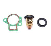 PEGGYLIN Thermostat 825212001 855676003 60° 140F for Mercury Mariner 824853 8252124 Course BF 8 9.9 15 20 25 30 40 225 ch