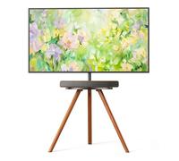 PEGZONE Support TV sur Pied pour Écrans 45 à 65 Pouces, 40 kg