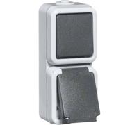 PEHA by Honeywell complet Interrupteur et prise gris 307611 1 pc(s)