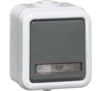 PEHA by Honeywell simple complet Bouton-poussoir gris 304111 1 pc(s)