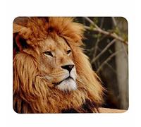 Pehede Tapis de souris avec base en caoutchouc antidérapant, glisse facile, tapis de souris pour ordinateur, ordinateur portable, jeux, bureau et maison, 20,1 x 24,1 cm, lion africain