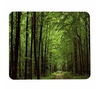 Pehede Tapis de souris vert avec base en caoutchouc antidérapant Motif chemin vert 20 x 24 cm