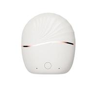 Peigne À Lisser Rechargeable - 2 Niveaux De Température, Brosse À Friser Professionnelle Et Portable En Fer Plat | Outil De Coiffure De Voyage Pour Femmes Et Hommes, Cheveux Courts, Longs Et Bouclés,