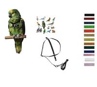 Peigne classique réglable taille moyenne de COCORITE à AMAZONS élastique 10 mm cou 10 mm toujours noir bandes colorées, gaine 3 mm 1 mètre (orange cou noir)