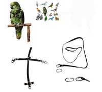 Peigne en cuir noir raccord rapide, moyen de coco à amazon, grande Plongée, élastique ruban 10 mm, boucles en plastique ou en métal 10 mm, crochet à vis 4 mm (noir moyen crochets métalliques)