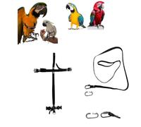 Peigne en cuir noir raccord rapide, moyen de coco à amazon, grande Plongée, élastique ruban 10 mm, boucles plastique ou métal gainage 10 mm 1 m crochet à vis 4 mm (noir grande ara boucles plastique)