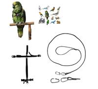 Peigne en cuir noir raccord rapide, moyen de coco à amazon, grande Plongée, élastique ruban 10 mm, boucles plastique ou métal gainage corde 3 mm 1 m crochet à vis 2 mm (moyenne boucles plastique)