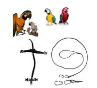 Peigne en cuir noir raccord rapide, moyen de coco à amazon, grande Plongée, élastique ruban 10 mm, boucles en plastique ou en métal, corde 3 mm, crochet à vis 2 mm (grande ara boucles métalliques)