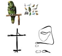 Peigne en cuir noir raccord rapide, moyen de coco à amazon, grande Plongée, élastique ruban 10 mm, boucles plastique ou métal gainage 10 mm 1 m crochet à vis 4 mm (noir moyen boucles plastique)